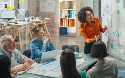 What does a Management Consultant do and how can NAVA Consulting help my Organisation?