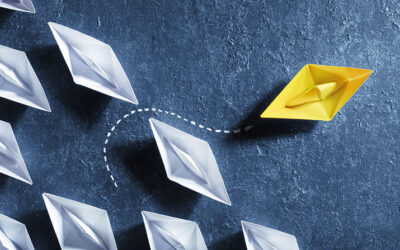 Transformation of a Remote Resort into a Leading Holiday Accommodation Provider